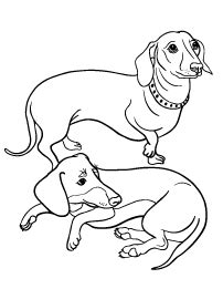 Dachshund puppy birthday coloring page. Dachshund Coloring Page | Puppy coloring pages, Dog ...