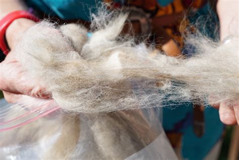 The word is a portmanteau of chien (the french word for dog) and angora. Chiengora: Why Upcycled Pet Hair is Worth $10K a Year