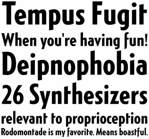 You also can create your own logo with monotype modern condensed font. Generica Condensed Std Bold Fonts