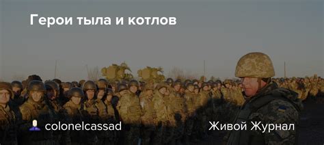 Его предшественник хомчак уходит в снбо. Герои тыла и котлов: colonelcassad — LiveJournal