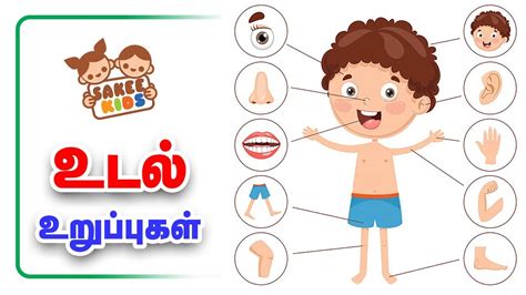 She has beautiful eyes : உடல் உறுப்புகள் | Human Body Parts in Tamil | Learn Tamil ...