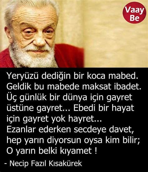 Kökünü beğenmeyen dal ve dalını beğenmeyen meyve olgunlaşmadan çürür. Necip Fazıl Kısakürek | Yıldönümü sözleri