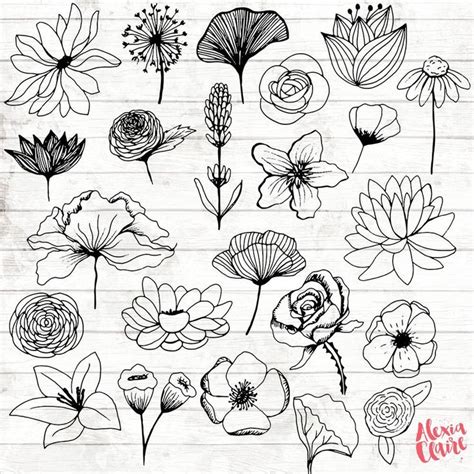 This stunning pen is not yet commercially released. Flowers Clipart - 23 Hand Drawn Floral Cliparts ...