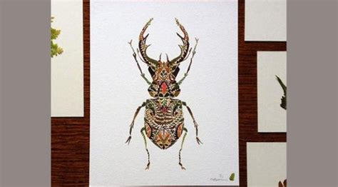 Kolase biji bijian spesial kupu kupu youtube. Sketsa Gambar Untuk Kolase Daun - Contoh Sketsa Gambar