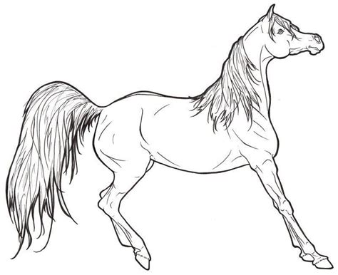 Dibujos de mandalas de animales y flores para colorear. Realistic Horse Coloring Pages | Horse coloring books, Horse coloring, Horse coloring pages