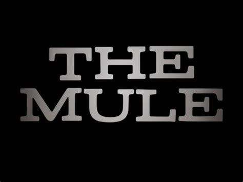 قصة فيلم the mule 2018 تم القبض على باحث خبير في مجال البستنة يبلغ من العمر 90 عامًا ومخضرم في الحرب العالمية الثانية لنقل 3 ملايين دولار من الكوكايين عبر ميشيغان. أول بوستر لفيلم الجريمة The Mule لـ برادلى كوبر - عين