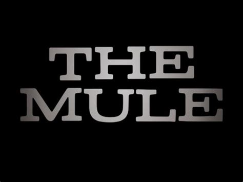 We would like to show you a description here but the site won't allow us. أول بوستر لفيلم الجريمة The Mule لـ برادلى كوبر - عين