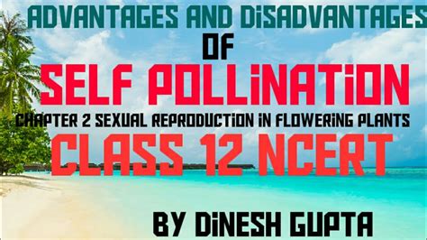 There is no wastage of pollen grains. Advantages and disadvantages of self pollination class 12 ...