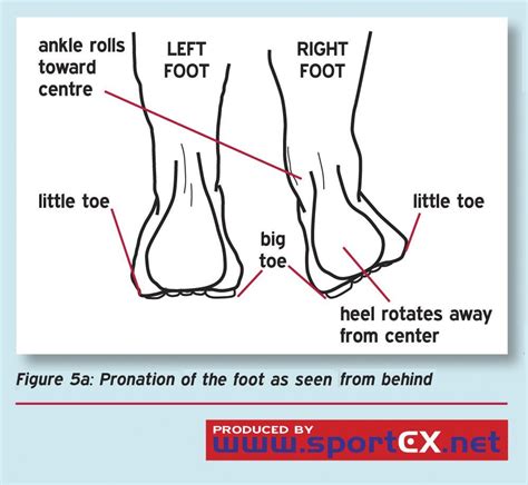 Diese symptome treten als folge einer überlastung auf. Supination oder Pronation des Fußes beim Laufen ...