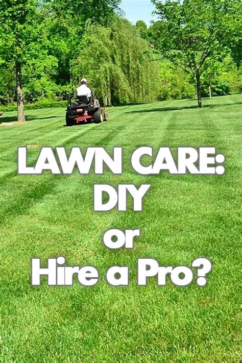 Considering all the options and challenges when it comes to diy or lawn treatment service, we recommend using a professional. DIY vs Professional Lawn Care in Omaha | Lawn care, Diy ...