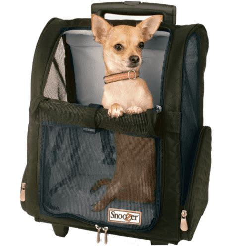 Maybe you would like to learn more about one of these? 7 Of The Best Airline-Approved Dog Carriers For In-Cabin ...