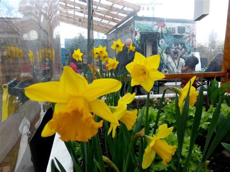Vergabe von kleingärten suchen sie einen kleingarten? Ein Jahr Frankfurter Garten - Frankfurter Beete