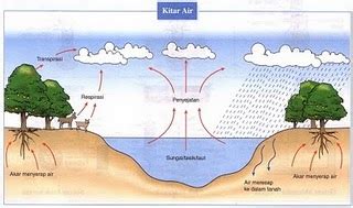 Cahaya matahari memanaskan air dilautan. ALAM SEKITAR: KESEIMBANGAN ALAM SEKITAR