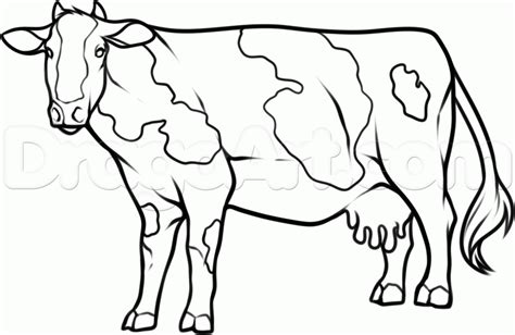 Animals apes monkeys gorillas ants bees bats butterflies bears crocodiles chicken crabs cows cats dinosaurs ducks dolphins donkeys deer dogs elephants frogs foxes giant pandas giraffes hamsters hedgehogs horses hippos lions mice owls. How To Draw A Cow by Dawn (With images) | Cow, Drawings, Animals