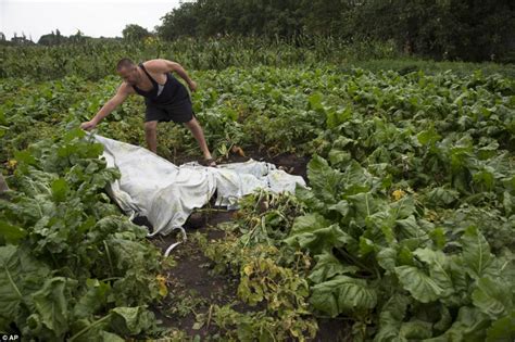 All 298 people on board the. 遺体にプラスチックのカバーをかける地元住民 : 海外メディアのマレーシア機墜落現場の画像集 機体残骸・遺品・子どもの ...