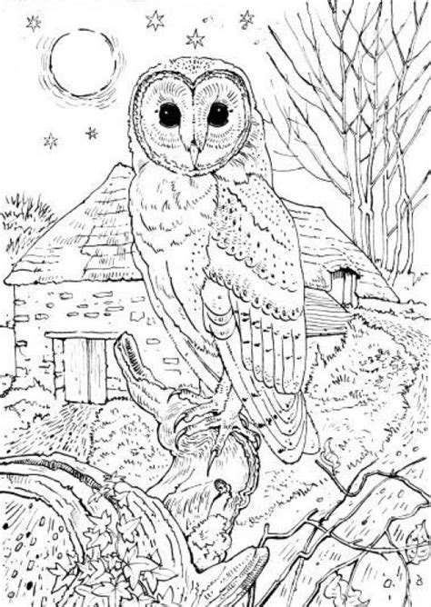 Realistic full moon coloring pages. Realistic Owl in a full moon night coloring page for grown ...