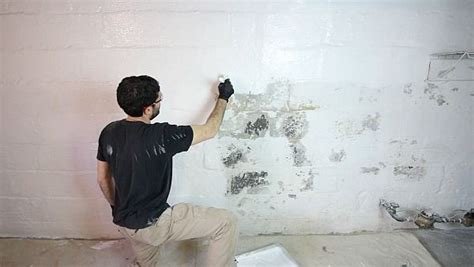 We did not find results for: Waterproofing Basement Walls with DRYLOK Paint - Drylok ...