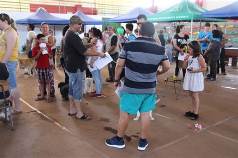 In addition, the company was allowed to send one ship of 500 tons annually to portobello to engage in normal trade to avoid contraband. MASIVA ASISTENCIA A FERIA DE MASCOTAS