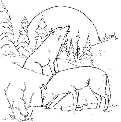 We have collected 37+ wolf howling coloring page images of various designs for you to color. Wolf Howling At The Moon Drawing at GetDrawings | Free ...