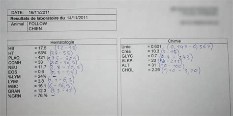 Résultats de la prise de sang | Les aventures de Follow et Hold'On