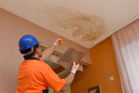 Check spelling or type a new query. How to fix a leaking roof from the inside (Quick tips)