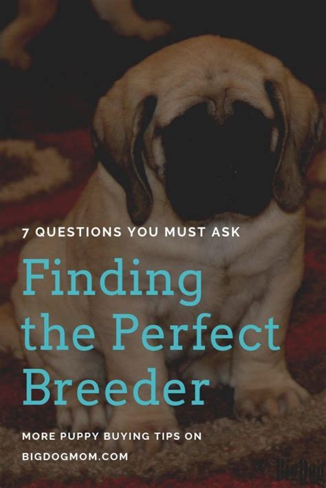 You do this throughout the day by following the prompts to. Top 7 Questions To Ask A Dog Breeder Before Buying A Puppy ...