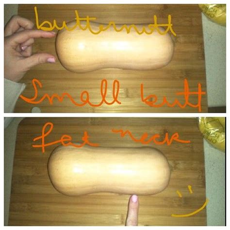 We are bucket rich in zucchini this year. How to pick a butternut squash | Butternut squash, Butternut