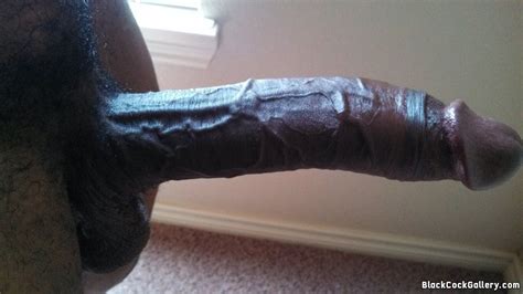 Most recent weekly top monthly top most viewed top rated longest shortest. 124922 - Black Cock Gallery