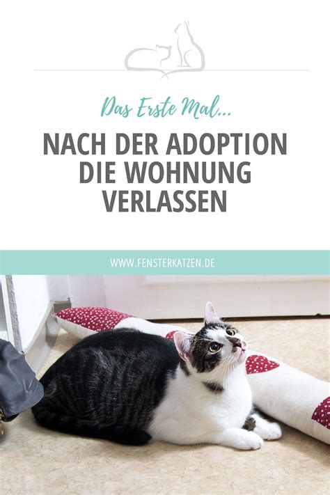 Wann du lösen diese aufgaben 5. Das Erste Mal... nach der Adoption die Wohnung verlassen ...