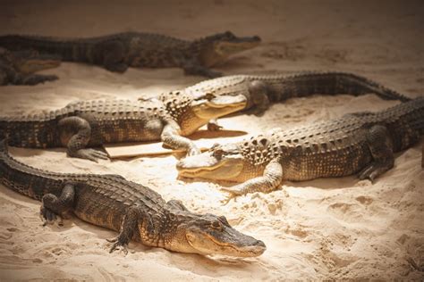 Business Insurance For Florida Small Businesses