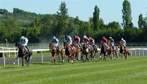 South african horse racing is hugely popular amongst the rich and famous of the country. Tips For Vaal Racecourse, South Africa 26 March 2020 ...