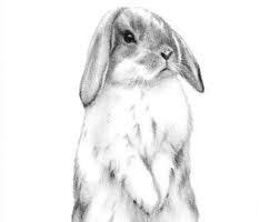 Draw better with mei yu's how to draw ebooks! Image result for floppy ear bunny silhouette | Bunny ...
