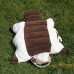 Hot promotions in appa pillow on aliexpress: Sky bisons are awesome - the Appa pillow pet