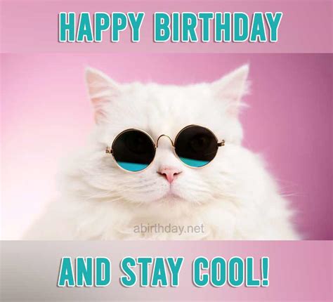 Find ou t best happy birthday memes. 17 Never Seen Before Cat Birthday Memes - Happy Birthday