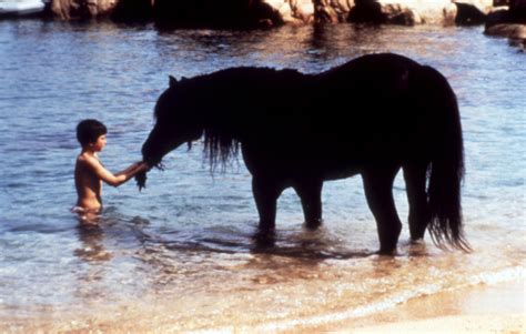 Together they begin training the stallion to race against the fastest horses in the world. Films for Children at the End of the World: An ...