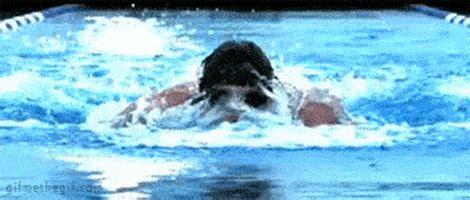 Olympics diving gif olympics diving swimming discover share gifs. Swimming Butterfly GIFs - Find & Share on GIPHY