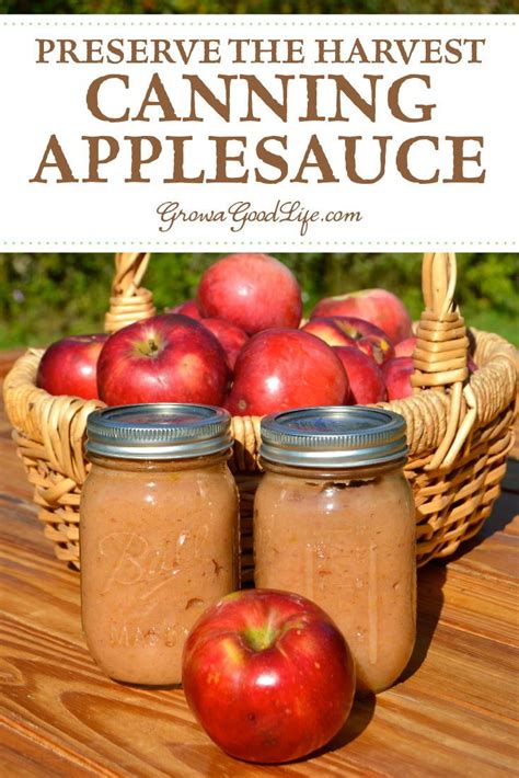 And of course, making homemade applesauce to can. Homemade Applesauce for Canning | Recipe | Homemade ...
