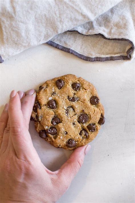 Delectably soft and chewy with the perfect amount of sweetness. Almond Flour Cookies Keto : Almond Flour Keto Chocolate ...