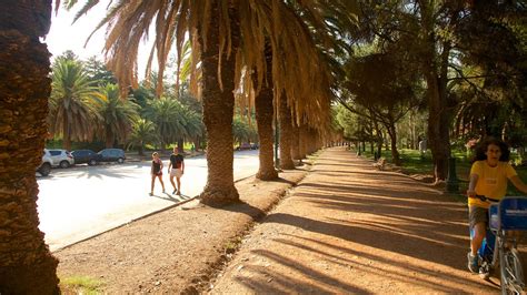 Maybe you would like to learn more about one of these? Parque General San Martín en Region vitivinícola de ...