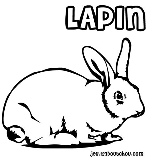 Voir plus d'idées sur le thème dessin lapin, lapin, dessin. 131 dessins de coloriage Lapin à imprimer