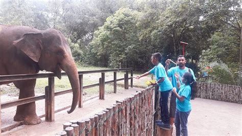 Zoo melaka is not just meet the eye, for they also cater for captive breeding and animal rescue mission. Zoo Melaka (Ayer Keroh) - 2020 All You Need to Know BEFORE ...