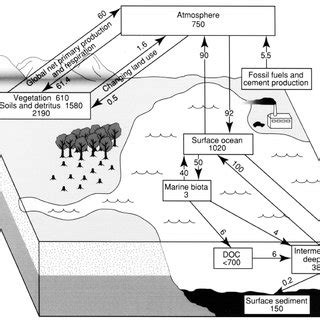 We did not find results for: (PDF) Plenary lecture Global limnology: up-scaling aquatic ...