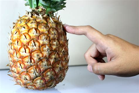 That's how we tell a ripe pineapple from a not so ripe one how can you tell if a pineapple is ripe? Tell if a Pineapple Is Ripe | Pineapple, Salmon in foil ...