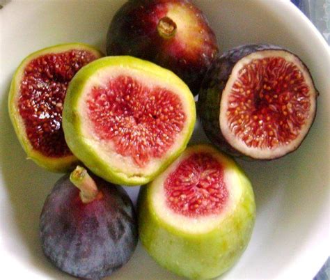 Secara umum buah ini mempunyai banyak khasiat yang cukup fenomenal sekali. Enaknya nikmati buah tin segar dari ladang milik Mutiara ...