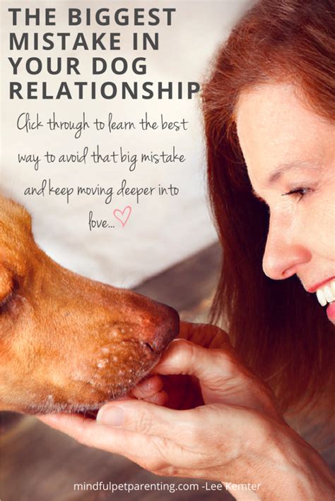 mdp-blog-puppy-training-mistake-9 - Mindful Pet Parenting