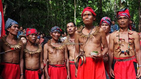 Uggah, who is also sarawak deputy chief minister i, said malaysians entering sarawak from west malaysia, labuan and sabah are not required to undergo the mandatory. Gawai Serumpun Kampung Gumbang Sarawak Tourism | BOMBASTIC ...