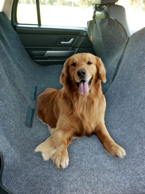 Keeps your pet safe and secure while. Pet Shop Direct - Bono Fido Backseat Hammock Carpet