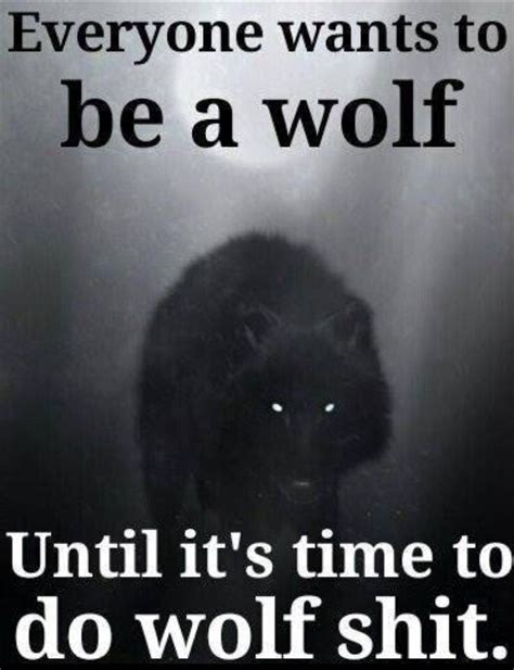 Watch the official video for big bad wolf by duck sauce download now on itunes: Like kill the Betas that sniff around their mate in 2020 ...