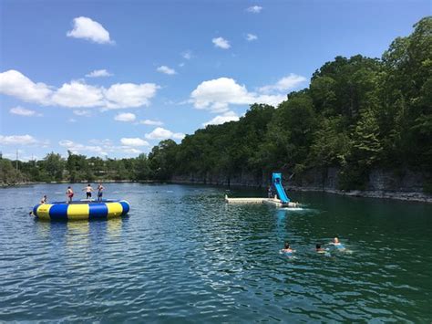 I've swam with fish before, said swimmer bonnie ferguson.but goldfish? Swimming Holes Near Toronto - AquaMobile Swim School