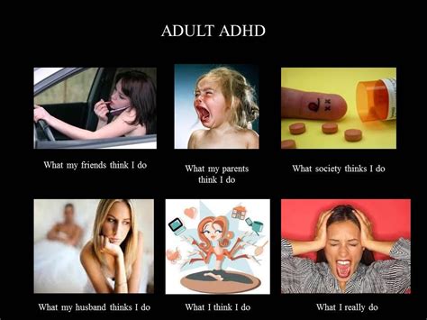 The place for adhd memes, rage comics, gifs. Image - 252225 | What People Think I Do / What I Really ...